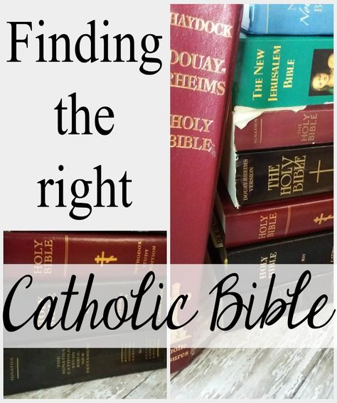 Which is the the right Catholic Bible for you?  In this post--with pictures--I compare 8 Catholic Bibles. Catholic Bible Study, Catholic Doctrine, Catholic Beliefs, Catholic Bible, Bible Journal Notes, Catholic Books, Bible Versions, Bible Study Journal, Encouraging Scripture