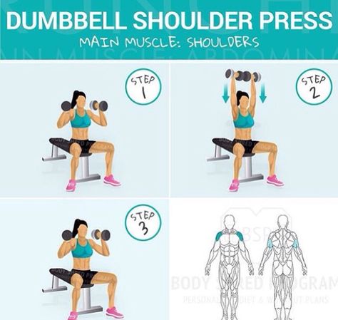 Shoulder press Shoulder Press Dumbell, Shoulder Press Exercise, Shoulder Press Workout, Db Shoulder Press, Beginners Gym Workout Plan, Dumbbells Workout, Dumbbell Shoulder Press, Workout Challenges, Gym Workout Guide