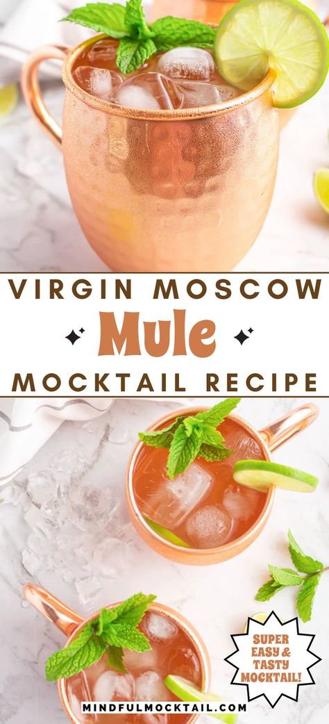 Virgin Moscow Mule, Mock Cocktails, Ginger Beer Drinks, Summer Mocktail Recipes, Easy Mocktails, Easy Mocktail Recipes, Mule Recipe, Alcohol Free Drinks, Drink Recipes Nonalcoholic