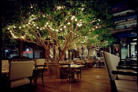 Fabricated Black Olive Tree at a restaurant Black Olive Tree, Outdoor Restaurant Patio, Terraced Landscaping, Tree Interior, Tree Restaurant, Café Design, Outdoor Restaurant Design, Restaurant Exterior, Indoor Tree