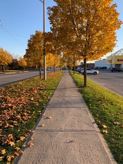 Vision Board Assignment, Aesthetic Walk, Pregnancy Care Package, Rich Auntie, Side Walk, Background Reference, Walk Outside, Paint Inspo, Autumn Walk