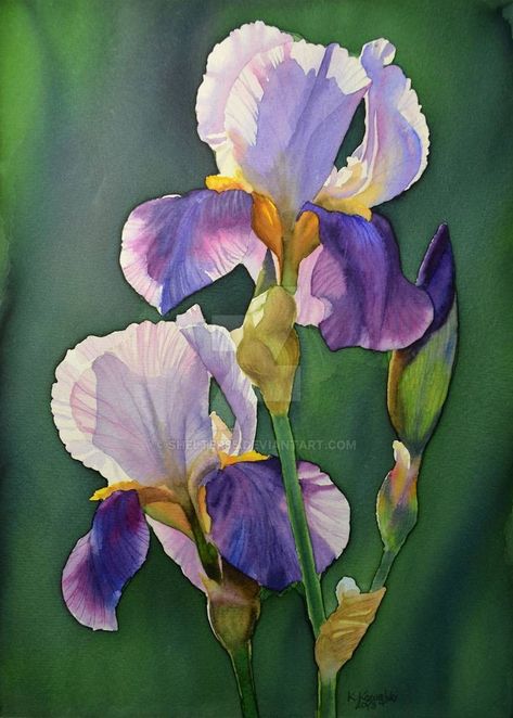 Iris Art, Iris Painting, Painting Demo, Purple Iris, 수채화 그림, Watercolor Artists, Watercolor Flowers Paintings, Purple And Yellow, Contemporary Abstract Art