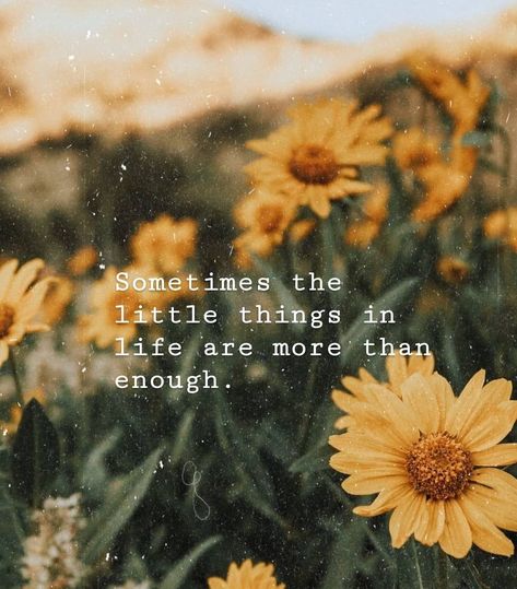 Sometimes the little things in life are more than enough – Glowwworm Beautiful Flower Quotes, Citations Instagram, Sunflower Quotes, Sunflower Pictures, Yellow Sunflowers, Sunflower Wallpaper, Flower Quotes, Instagram Quotes, The Little Things