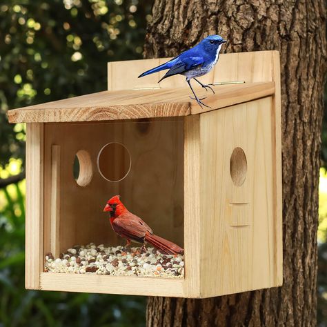 PRICES MAY VARY. 🐦BLUE BIRD FEEDER - Damp Proof - Feed Tray Drains Water See Wild Birds Like Finches Cardinals and Chickadees Up Close! Made from high quality material that preserves clarity over time Enjoy excellent clarity 🐦UNLIKE OTHER FEEDERS Condensation will not build up between the window and the feeder and your bird viewing will never be obstructed Bird Feeder Tray, Easy Clean Outdoor Bird Feeders 🐦MOUNTS to A POST or POLE: Comes with 2 screws, enhances the stability and prevents unwa Wooden Bird Feeders Diy How To Build, Bird House Designs, Bird Feeders Diy, Cool Bird Houses, Bird Feeder Station, Large Bird Feeders, Bird House Plans Free, Unique Bird Feeders, Large Bird Houses