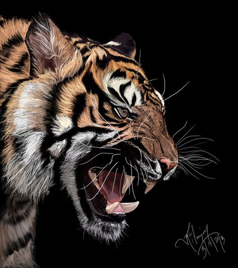 Tiger Digital Painting by Xavio-Design Art Tigre, Tiger Artwork, Tiger Drawing, Ikan Koi, Design Makeup, Tiger Painting, Tiger Pictures, Výtvarné Reference, Tiger Art