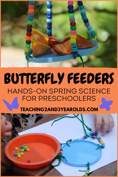 How to Make an Easy Butterfly Feeder for a Spring Science Activity Outdoor Butterfly Activities For Preschool, Butterfly Unit Preschool, Butterfly Fine Motor Activities, Butterfly Curriculum, Preschool Butterfly Activities, What Do Butterflies Eat, Butterfly Science Activities, Kindy Activities, Butterfly Preschool