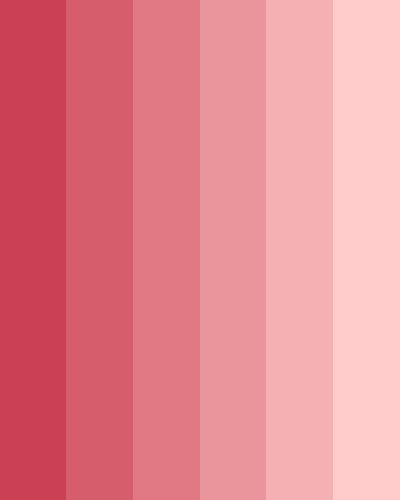 Flirty Red Monochromatic Color Palette Pinks And Reds, Red Aesthetic Palette, Pink To Red Color Palette, Cute Pink Color Palette, Pink And Red Color Scheme, Color Red Palette, Color Palette Monochromatic, Pink Color Schemes Colour Palettes, Red And Pink Colour Palette