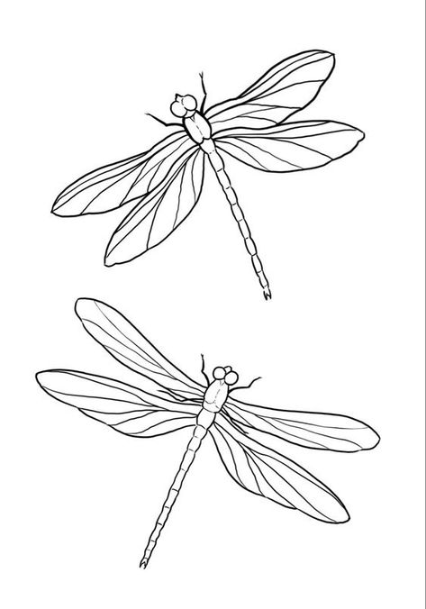 Simple Dragon Fly Drawing, Dragonfly Outline Drawings, Insect Line Drawing, Dragon Fly Tattoo Outline, Dragonfly Design Drawing, Dragon Fly Tattoo Drawing, Insect Tattoo Stencil, Birds Outline Drawing, Dragonfly Tattoo Sketch