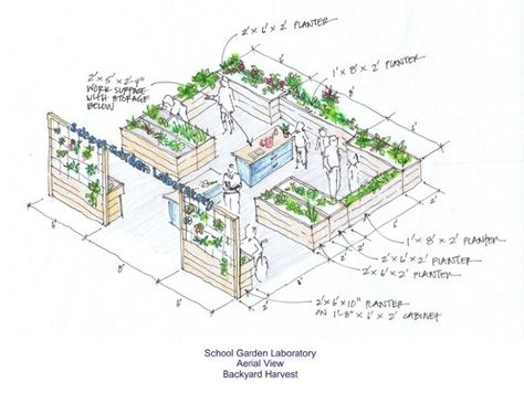 Project: Design a School Garden Winners Announced! | Environment on GOOD Raised Bed Garden Layout, Garden Planning Layout, Garden Layout Vegetable, Desain Lanskap, Garden Drawing, Garden Design Plans, School Garden, Vegetable Garden Design, Street Design