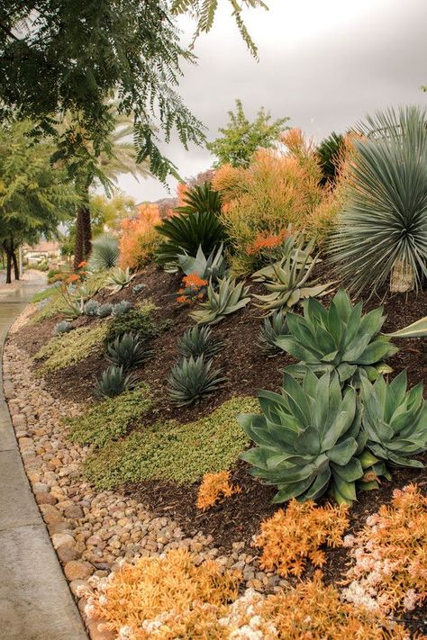 Xeriscape Landscaping On A Slope, Xeriscape Sloped Front Yard, Hillside Succulent Landscaping, Desert Style Landscaping Front Yards, Sand Front Yard Landscaping, Xeriscape Landscaping Arizona, Whimsical Landscaping Ideas, Dry Scape Front Yard, Texas Xeriscape Landscaping Front Yard