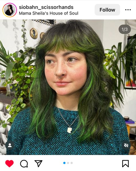 Green Tipped Hair, Coloured Bangs Hair, Green Bangs Brown Hair, Green Brown Hair, Green Hair Dye Ideas, Moss Green Hair, Brown And Green Hair, Short Green Hair, Minimal Hair