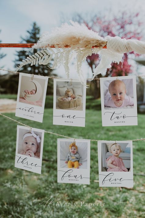 Fall 1st Birthdays, Monthly Photo Banner, 1st Birthday Photo, Pumpkin First Birthday, Baby Milestone Photos, Birthday Photo Banner, One Year Birthday, First Year Photos, 1st Birthday Photos