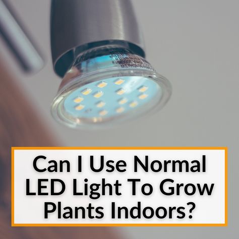 Grow Light Lamps, Hang Grow Lights, Indoor Plant Shelves With Grow Lights, Uv Lights For Plants, Pretty Grow Light, Led Plant Lights Indoor, Led Lights For Plants, Indoor Plant Grow Lights, Diy Plant Grow Light