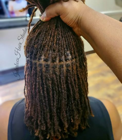 Micro Braids Styles, Locs Journey, Hair Motivation, Micro Locs, Sister Locs, Short Locs, Short Locs Hairstyles, Loc Hairstyles, Dreadlock Style