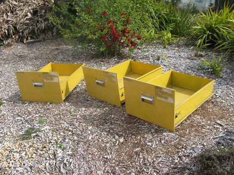 third and last painted file cabinet to garden planter sungold yellow, container gardening, gardening, repurposing upcycling File Drawer Planter, Repurpose File Cabinet Drawers, File Cabinet To Planter, Repurposed File Cabinet Ideas Metal, Filing Cabinet Drawers Upcycle, File Cabinet Makeover Planter, Repurpose Metal File Cabinet, File Cabinet Drawers Upcycle, File Cabinet Planter Boxes