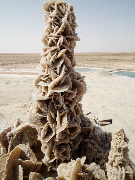 Large desert rose formation in the Tunisian desert Desert Rose Crystal, Desert Roses, Geology Rocks, Rose Crystal, Desert Flowers, Pretty Rocks, Beautiful Rocks, Minerals And Gemstones, Natural Phenomena