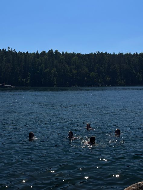 ozean summer  swimming Midsommar Aesthetic, Swedish Aesthetic, Sweden Aesthetic, Summer Swim, Summer Bucket, Summer Feeling, European Summer, Aesthetic Summer, Beautiful Places To Visit