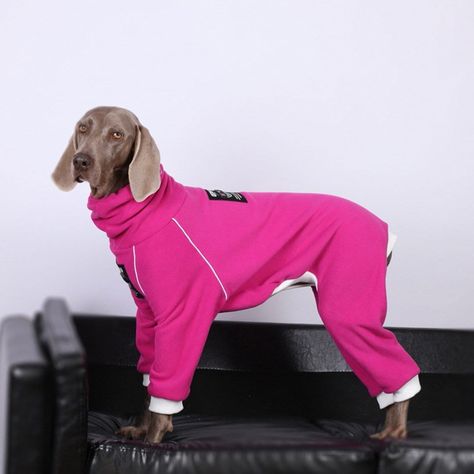 Protect your Dog from the Harsh Winter elements with this warm and cozy Fleece Jumper. Fits Dogs from small to large breeds. It provides full coverage for your Dog's front and hind legs . The lower abdomen is designed with an opening for the dog to urinate easily, and an elastic cord is attached on the side to prevent the clothes from being soiled.Fight the severe winter weather and keep your dog safe and sound. Get yours Now! Note： This dog coat is for Small, Medium, Large Dogs, Pls measure your dog's Back Length and Chest Size before buying! Feature: Warm, Breathable Suitable Breed: Small, Medium and Large Dogs Please allow for 7-15 days for shipping/handling and delivery of the product. Due to the health and safety of pets, we do not accept returns or exchanges. If there are any problem Jumper Fits, Big Dog Clothes, Dog Onesies, Large Dog Clothes, Winter Elements, Fleece Jumper, Harsh Winter, Dog Tips, Lower Abdomen