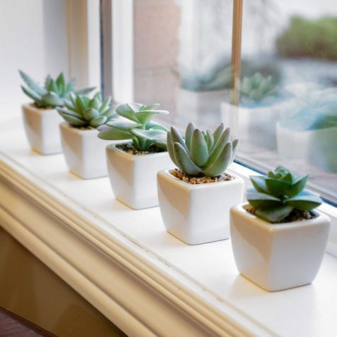 Small Window Sill Plants, Tiny Fake Plants, Small Fake Plants Decor, Succulents On Window Sill, Fake Plants Pink, Small Plants Aesthetic, Small Window Sill Decor, Fake Plants Aesthetic, Bathroom Window Sill Decor