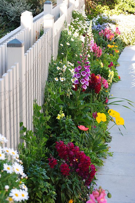 Wildflower Garden Edging, Urban Flower Garden, Small Flower Garden Ideas Backyards, Flower Garden Along Fence, Wildflower Flower Bed, Fenced Flower Garden, Wild Flower Garden Landscaping, Front Garden Layout, Wildflower Garden Bed