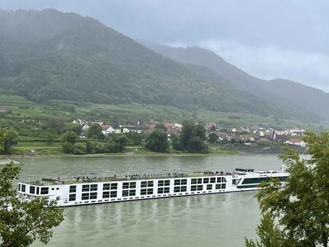 All about a Scenic cruise on the Danube River Danube River Cruise, Danube River, River Cruise, Cruise Line, River Cruises, Cruises, Sailing, Amber