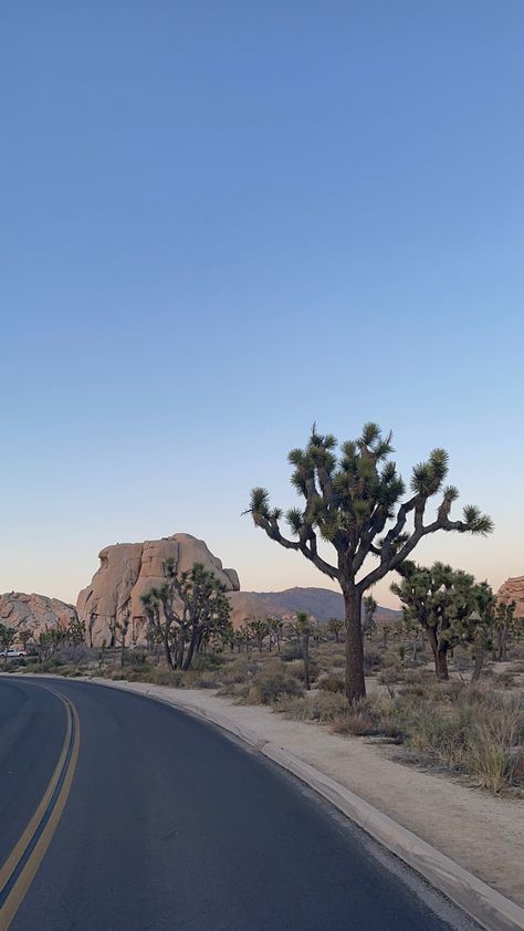 Love Land, Desert Dream, Summer Sunset, City Aesthetic, Nature Aesthetic, Joshua Tree, Aesthetic Backgrounds, Nature Travel, Aesthetic Photography