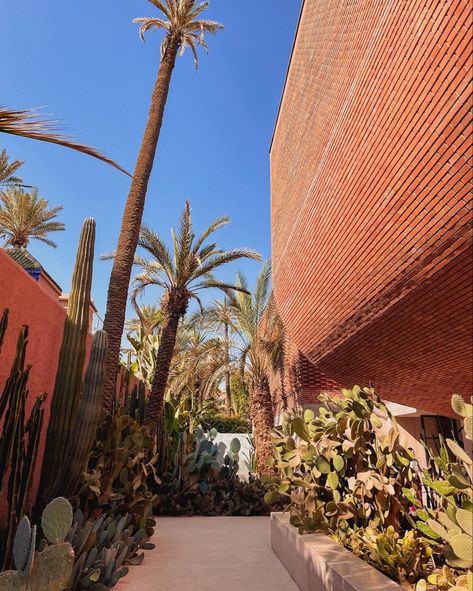 Morocco Orange Aesthetic, Ysl Morocco Marrakech, Yves Saint Laurent Morocco, Yves Saint Laurent Museum Marrakech, Saint Laurent Morocco, Ysl Morocco, Marrakesh Aesthetic, Yves Saint Laurent Marrakech, Yves Saint Laurent Museum