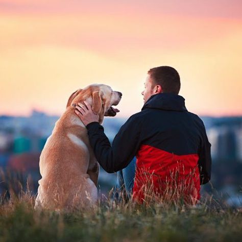 States Where People Love Dogs the Most and Least – Page 3 – 24/7 Wall St. Pet