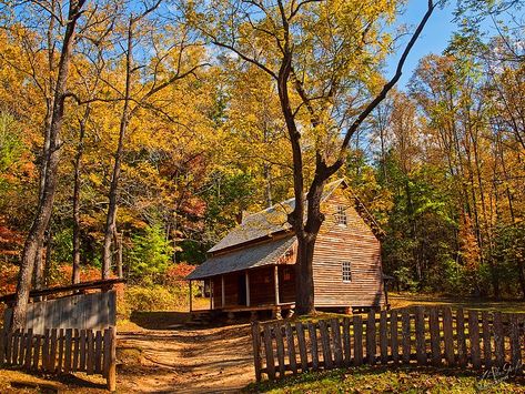 Smokey Mountain Cabins, The Smokey Mountains, Cades Cove Tennessee, Smoky Mountains Vacation, Architecture Sketchbook, Autumn Foliage, Cades Cove, Mountain Vacations, Old Farm Houses