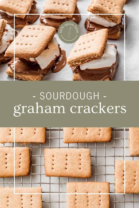 Recipe Using Sourdough Starter, Cracker Recipe, Graham Cracker Recipes, Sourdough Starter Discard Recipe, Homemade Graham Crackers, Gluten Free Sourdough, Homemade Sourdough Bread, Bread Starter, Homemade Sourdough