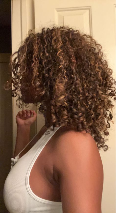 Caramel Balayage Natural Curly Hair, Maple Brown Hair Color Curly Hair, Copper And Blonde Highlights Curly Hair, Highlight Brown Curly Hair, Rezolites Curly Hair, Honey Brown Dyed Hair Black Women, Dyed Natural Hair Highlights, Hair Colour Ideas Curly, Honey Brown Hair With Highlights Curly