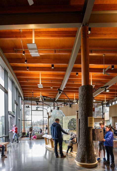 Gallery of Oregon Zoo Education Center / Opsis Architecture - 9 Zoo Education, Zoo Architecture, Lobby Design, Organic Architecture, Rain Garden, Education Center, Building Exterior, Environmental Science, Custom Woodworking