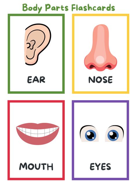 learn body parts for kids cards body systems cards Body Parts Flashcards, Body Parts Preschool Activities, Body Parts For Kids, Baby Flash Cards, Body Preschool, Flashcards For Toddlers, Body Parts Preschool, Homemade Garden, Homeschool Preschool Activities