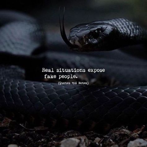 Real situations expose fake people. —via http://ift.tt/2eY7hg4 Snake Quotes, Fake Friend Quotes, Fake People Quotes, World Quotes, Motiverende Quotes, Fake People, Education Humor, Black Snake, Quotes And Notes