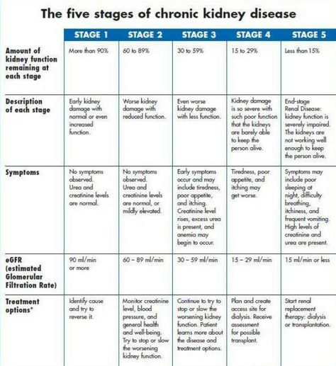 1/30/17 . . . consulted a nephrologist today regarding my elevated creatinine levels. I found out I've been Stage 2 for over a year. Recent lab tests put me in Stage 3. Hopefully further tests will figure out the cause. Nursing Information, Polycystic Kidneys, Kidney Diet, Renal Diet, Chronic Kidney, Nursing School Studying, Nursing Tips, Kidney Health, Nursing Notes