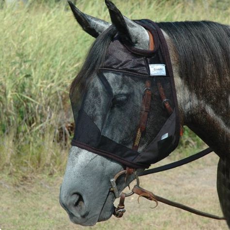 CASHEL Quiet Ride Fly Mask could possibly be used for pigs and cows too. Horse Fly Masks, Horse Fly Mask, Ride Horse, Horse Fly, Horse Supplies, Equestrian Sports, Tractor Supplies, Trail Riding, Arabian Horse