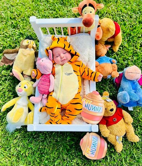 Winnie The Pooh Infant Photo Shoot, Winnie The Pooh Monthly Pictures, Winnie The Pooh Baby Pictures, Disney Monthly Baby Pictures, Winnie The Pooh Baby Photo Shoot, Winnie The Pooh Newborn Pictures, Winnie The Pooh Maternity Photo Shoot, Winnie De Pooh Baby Shower Ideas, Winnie The Pooh Photo Shoot