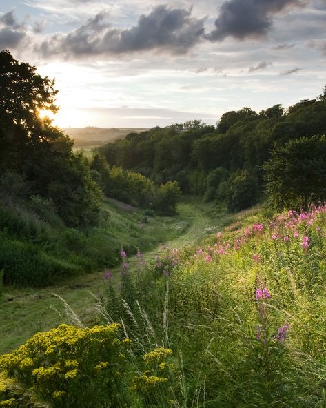 Hair Beauty Photography, Yorkshire Wolds, Nature Rose, Rose Bay, English Countryside, Beauty Ideas, Beauty Life, Beauty Hair, Nature Aesthetic