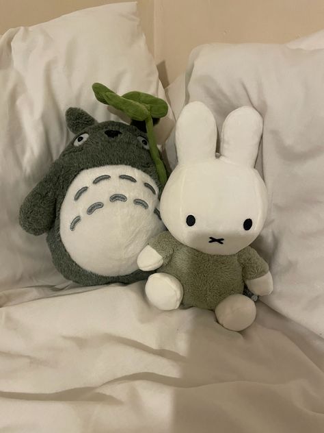 miffy and totoro Totoro Plush, Room Makeover Inspiration, Cute Stuffed Animals, Cute Little Things, Cute Plush, الرسومات اللطيفة, Softies, Soft Toy, Studio Ghibli