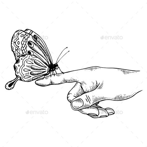 Butterfly on finger engraving vector illustration. Scratch board style imitation. Black and white hand drawn image. Butterfly On Hand Drawing, Butterfly On Finger, How To Draw Fingers, Back Of Arm Tattoo, Butterfly Art Drawing, Coffee Heart, Engraving Art, Finger Painting, Amazing Art Painting