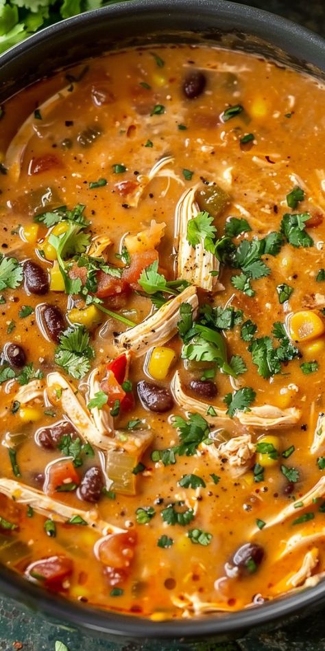 Chicken Enchilada Soup [45 Minutes] - Chasety Crock Pot Green Enchilada Soup, 8 Can Mexican Chicken Soup, Homemade Soups Chicken, Best Soup Recipes Ever Chicken, Spicy Chicken And Black Bean Soup Pioneer Woman, Yummy Healthy Soup Recipes, Copy Cat Chili Enchilada Soup, Two Person Soup Recipes, Healthy Fast Soup Recipes