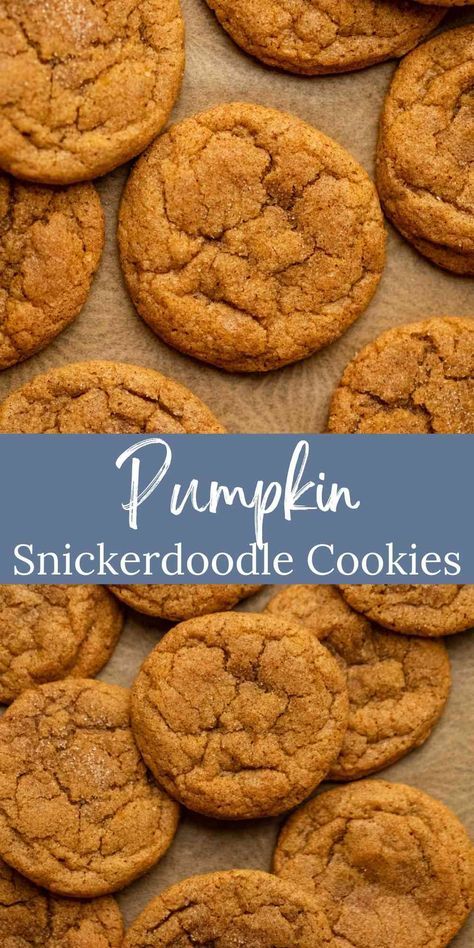 Pumpkin Snickerdoodle Cookie Recipe, Pumpkin Snickerdoodle Cookies, Pumpkin Spice Cookie Recipe, Spice Cookie Recipes, Spice Sugar Cookies, Soft Pumpkin Cookies, Pumpkin Pie Cookies, Fall Cookie Recipes, Pumpkin Snickerdoodles