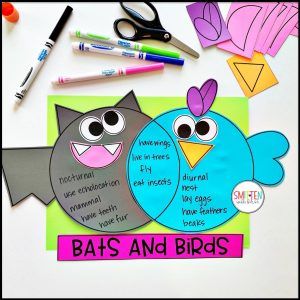 Stellaluna Activities Bats Anchor Chart First Grade, Stellaluna Craft Kindergarten, Stellaluna Activities First Grade, Stellaluna Activities Kindergarten, Bat Kindergarten Activities, Stellaluna Craft, Stellaluna Crafts, Stellaluna Activities, Bat Activities