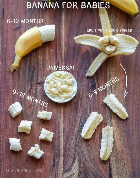 Weaning Foods 6 Months, How To Baby Led Weaning, Baby Led Weaning First Foods 6 Months No Teeth, First Foods For 7 Month Old, Baby Led Weaning First Foods 9 Months, How To Cut Food For Baby Led Weaning, Baby Led Weaning 5 Month Old, Baby Lead Weaning 6months, Baby Led Weaning First Foods 6 Months Meal Ideas