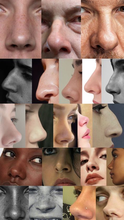 Reference material, real photos, noses Nose Art Study, Nose Angles Reference Photo, Nose Types Reference, Drawing Different Noses, Nose Art Reference Photo, Nose Drawing Anatomy, Different Noses Reference, Drawing Black Noses, Different Nose Drawing