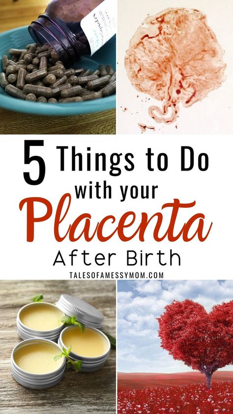 Water Birth Benefits, Placenta Art Diy, Diy Placenta Encapsulation, Placenta Art Ideas, Placenta Smoothie Recipe, Placenta Smoothie, Placenta Tincture, Placenta Benefits, Homebirth Space Ideas