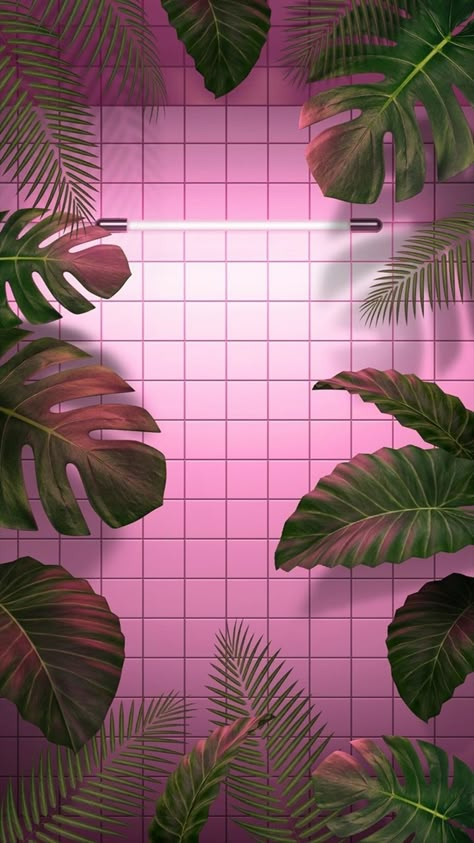 #aesthetic #ariana #leaves #neon #background #plants #wallpapers #cute #grande  https://weheartit.com/entry/325556056 Pinky Wallpaper, Iphone Background Pink, Fotografi Urban, Iphone Arkaplanları, Pink Wallpaper Backgrounds, Wallpaper Iphone Neon, Fotografi Editorial, Vaporwave Aesthetic, Tumblr Wallpaper