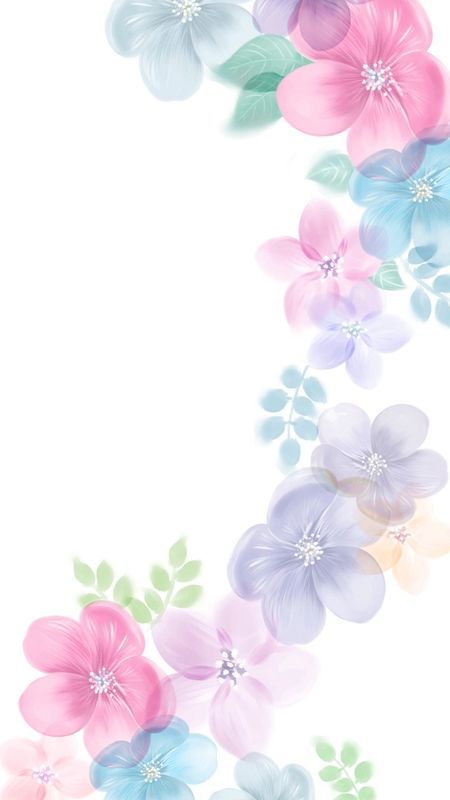 Flor Iphone Wallpaper, Flowery Wallpaper, Flower Iphone Wallpaper, Floral Border Design, 수채화 그림, Haiwan Peliharaan, Flower Background Wallpaper, Flower Phone Wallpaper, Pretty Wallpapers Backgrounds