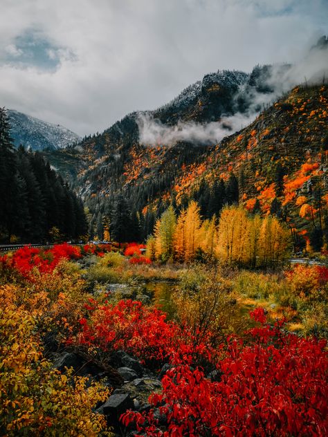 Fall Leaves Mountains, Fall In The Woods, Fall Foliage Washington State, Forest In The Fall, Pacific Northwest Fall, Pnw Fall Aesthetic, Colorado Fall Aesthetic, Autumn Landscape Aesthetic, Leavenworth Washington Fall