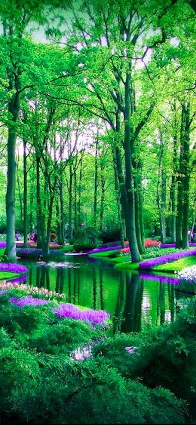 Amsterdam's 10 Best-Kept Secrets Keukenhof Gardens, Matka Natura, फोटोग्राफी 101, Alam Yang Indah, Alam Semula Jadi, Pretty Places, Lush Green, Places Around The World, Albania